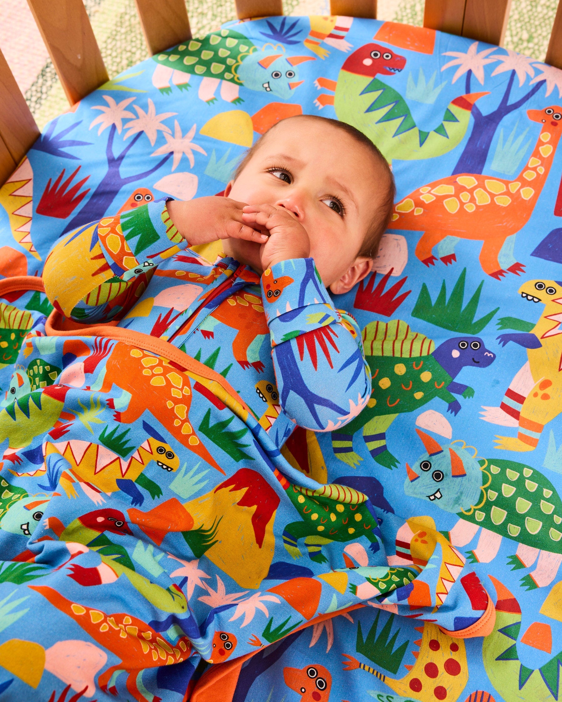 Kip & Co Dinosaur Roar Organic Cotton Snuggle Blanket