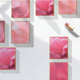 Luk Beautifood Lip Nourish Trio in perfect nude shades featuring natural, nourishing lip balms in sleek packaging.