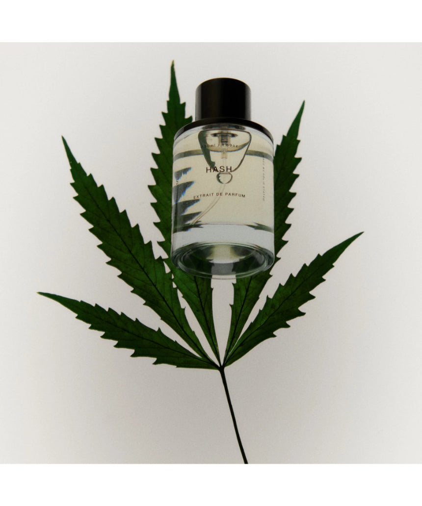 Solid State Hash Extrait de Parfum cologne bottle with minimalist design and clear label, displayed on a neutral background.