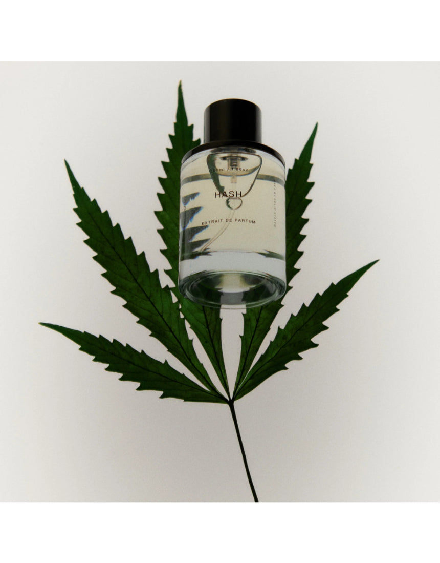 Solid State Hash Extrait de Parfum cologne bottle with minimalist design and clear label, displayed on a neutral background.