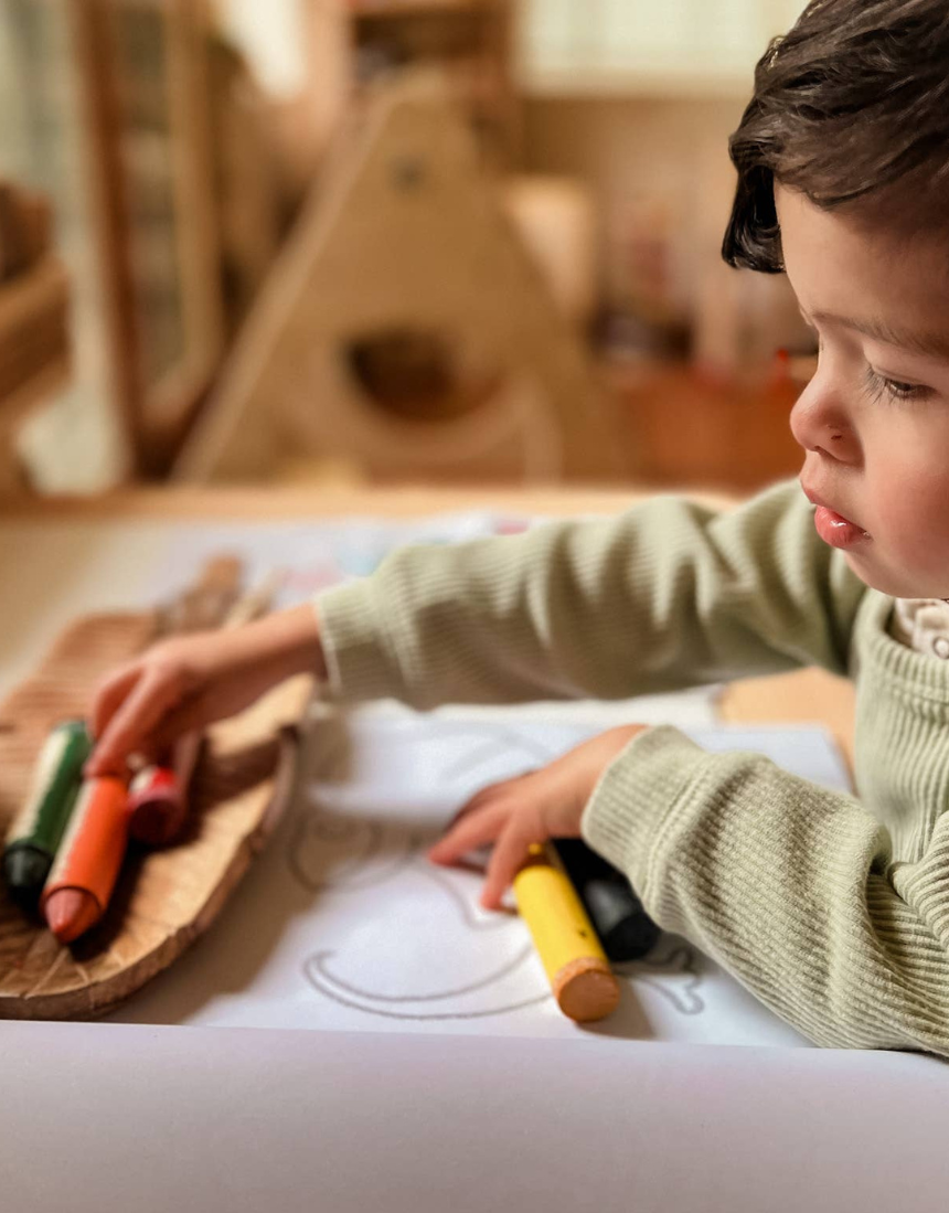 Honey Sticks - Beeswax Crayons Super Jumbos - Say It Sister