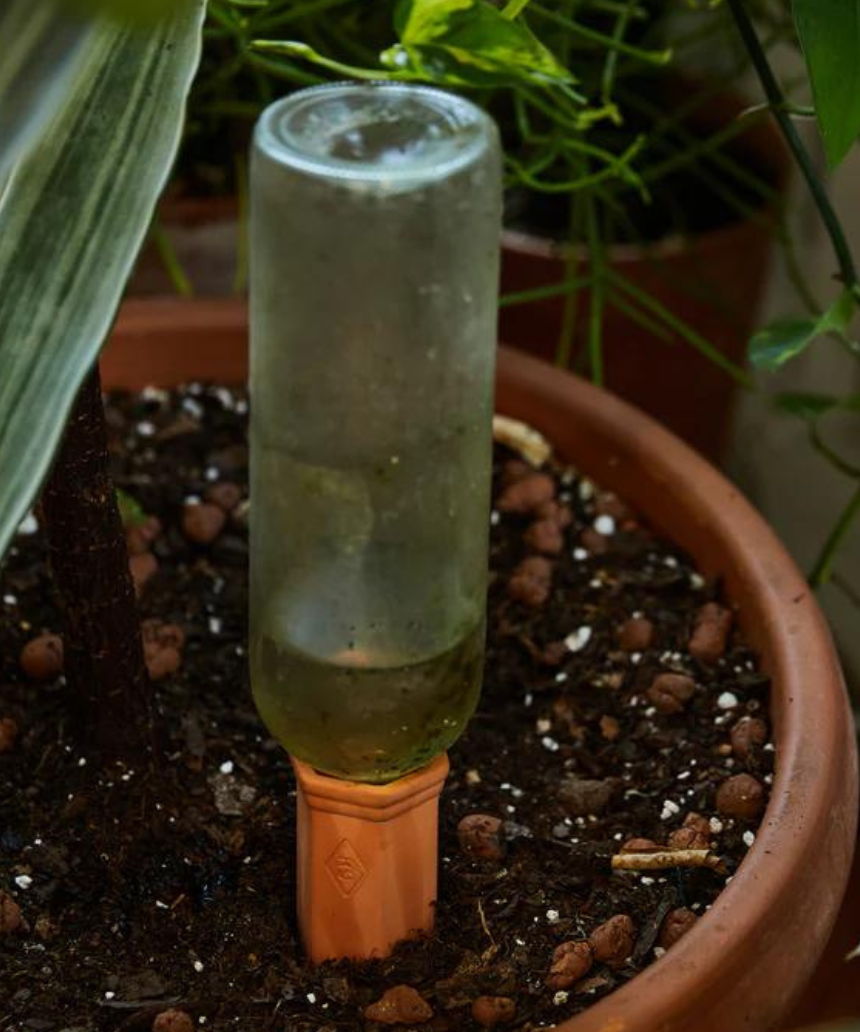Gentlemen's Hardware - Plant Water Drippers - Say It Sister