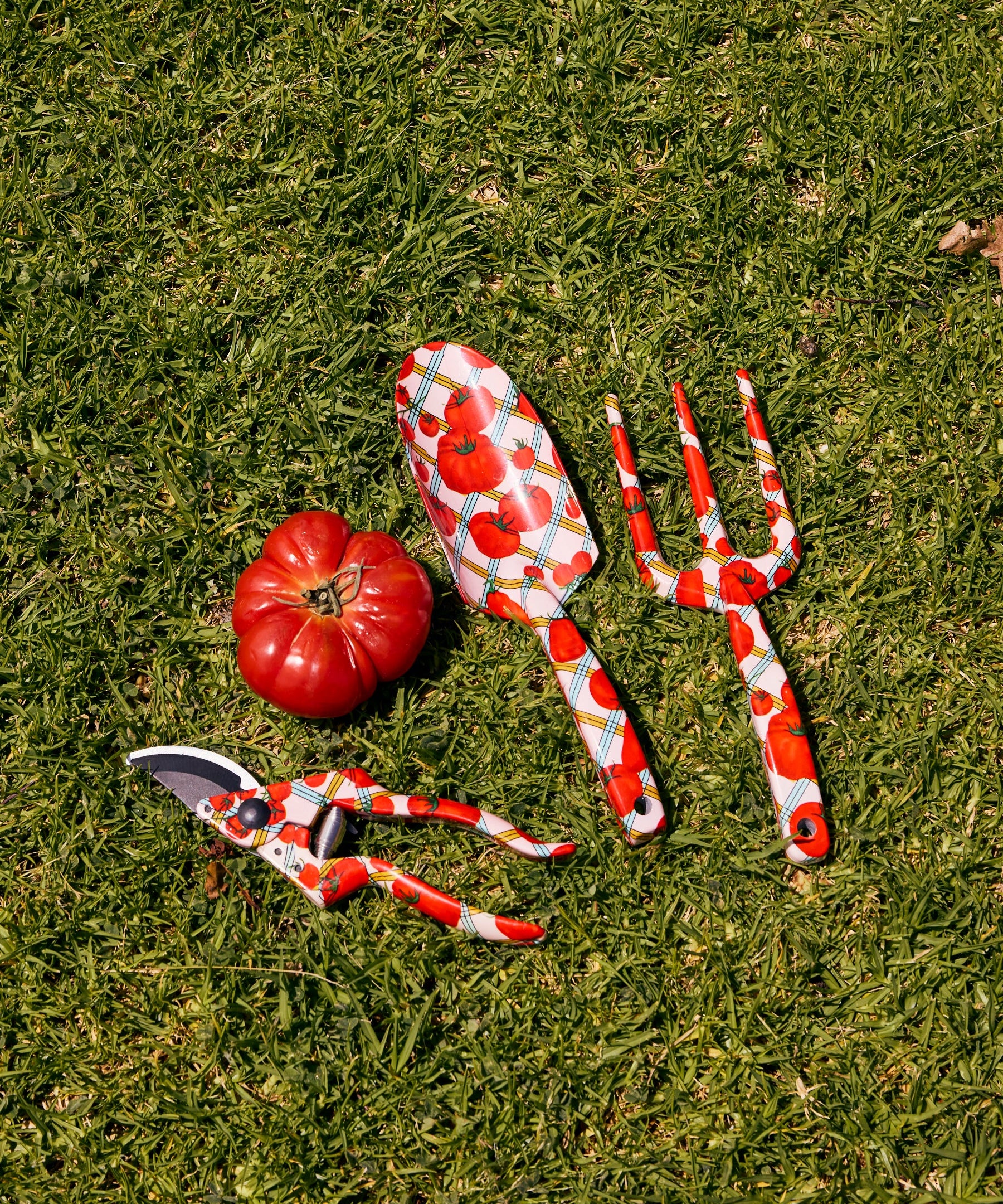 Kip & Co Pomodori Garden Tools and Gloves Set with colorful hand tools, gardening gloves, and a plant in a garden setting.