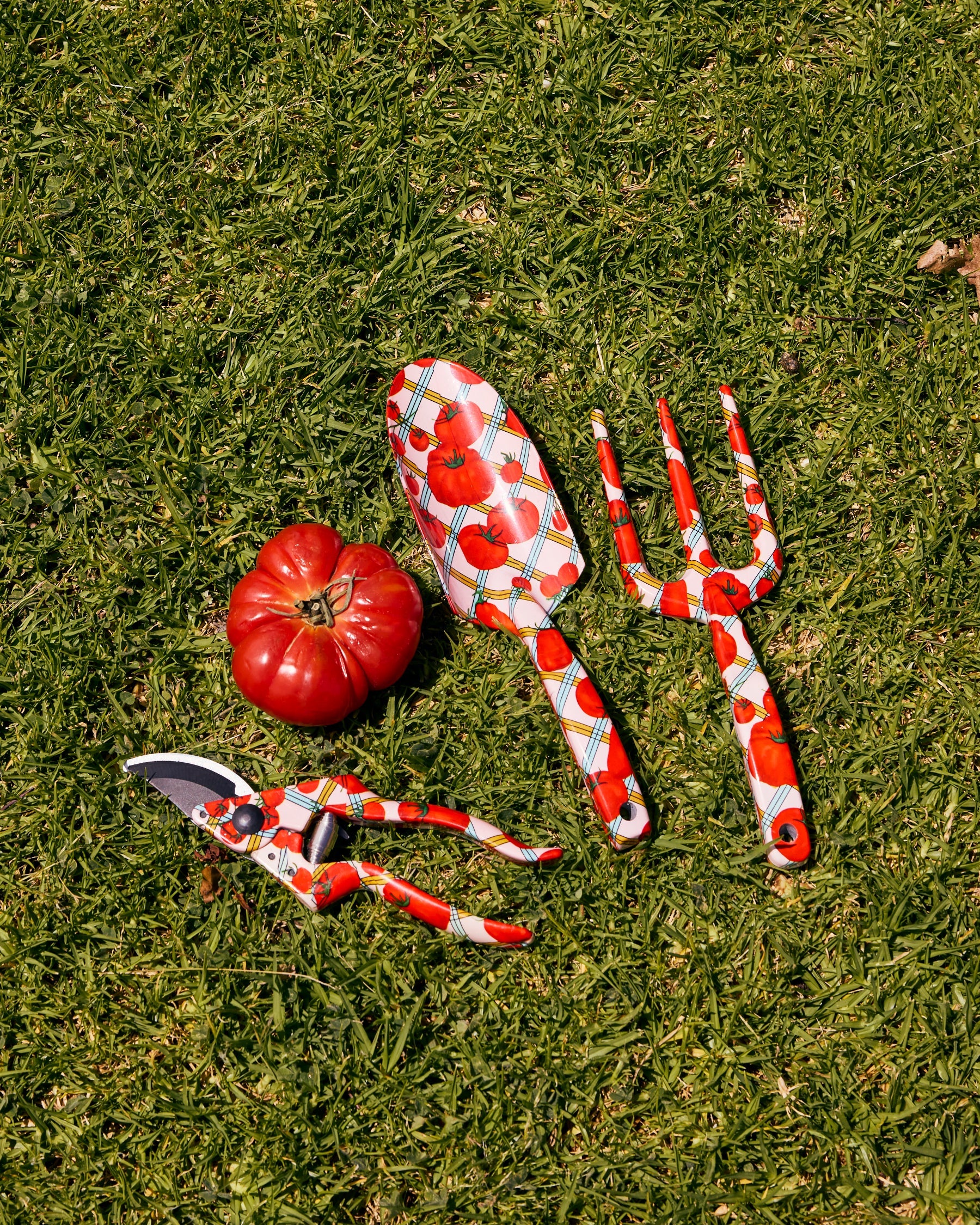 Kip & Co Pomodori Garden Tools and Gloves Set with colorful hand tools, gardening gloves, and a plant in a garden setting.