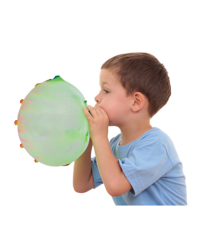 Balloon Balls Dinosaur Assorted, TOY, isAlbi - Say It Sister