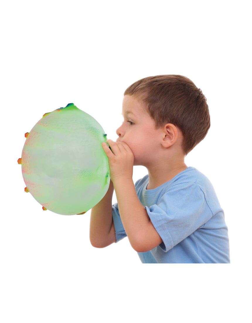 Balloon Balls Dinosaur Assorted, TOY, isAlbi - Say It Sister