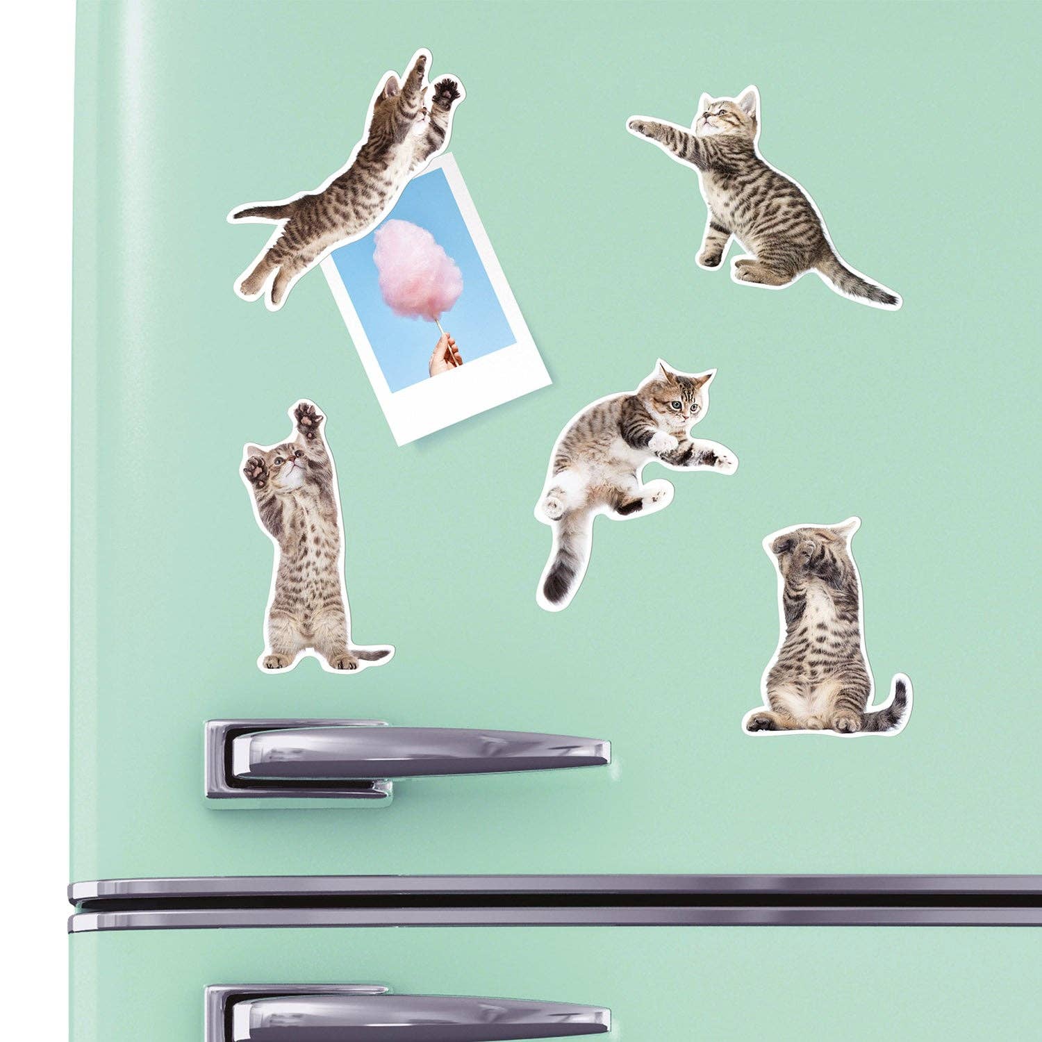 Set of 12 Mustard Action Cat fridge magnets featuring colorful, playful cat designs perfect for decorating your refrigerator.