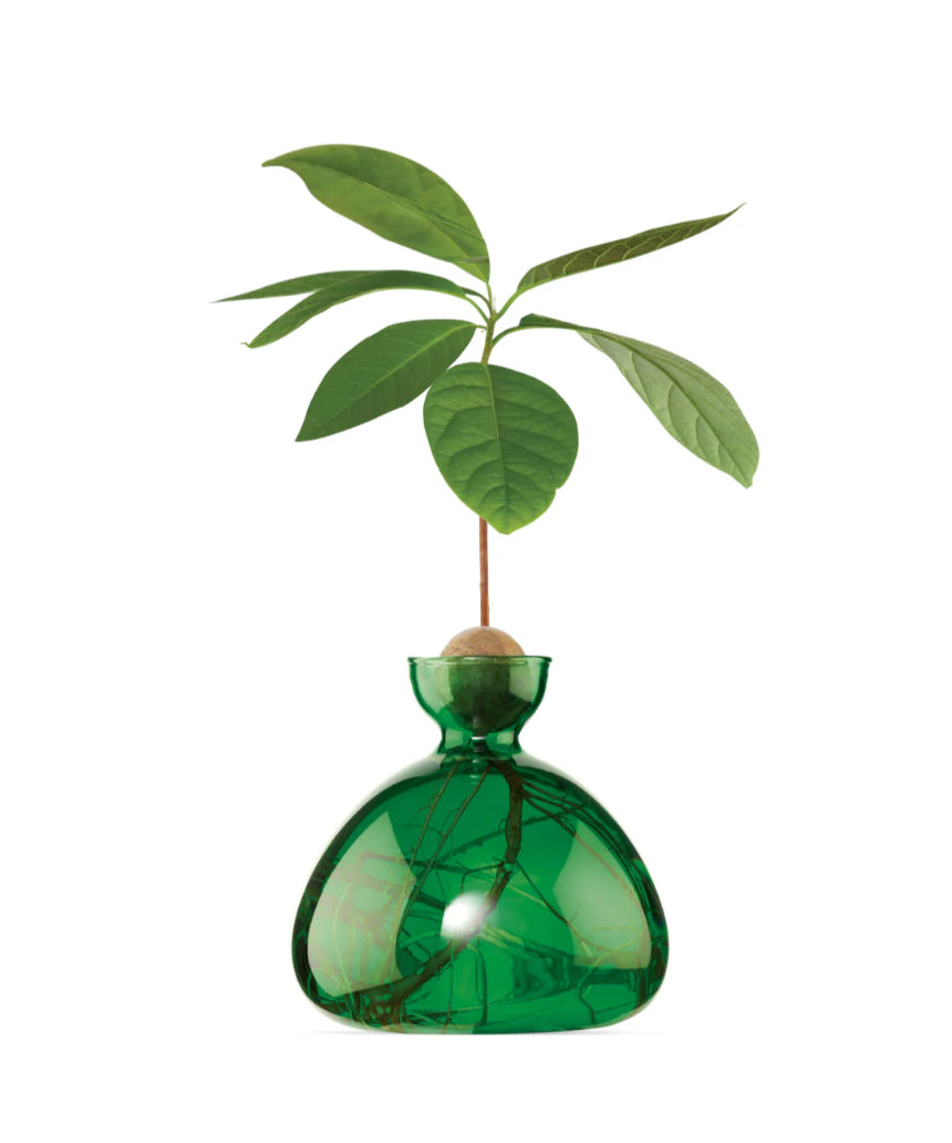Avocado Vase - Emerald Green, , Ilex Studio - Say It Sister
