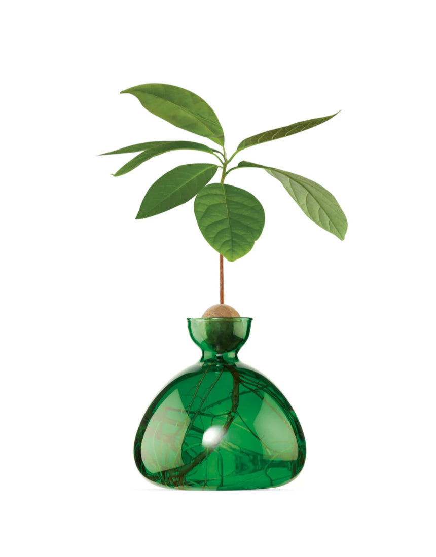 Avocado Vase - Emerald Green, , Ilex Studio - Say It Sister