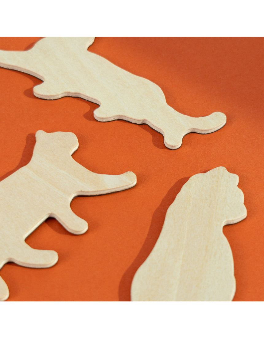 Set of Suck UK fridge magnets featuring colorful, playful cat designs on a white background.