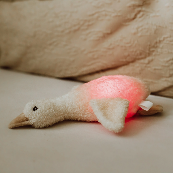 Liva - Beige Plush Night Light, night light, Liva - Say It Sister