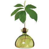 Grass green Ilex Studio avocado-shaped vase with a smooth finish, displayed on a neutral surface.