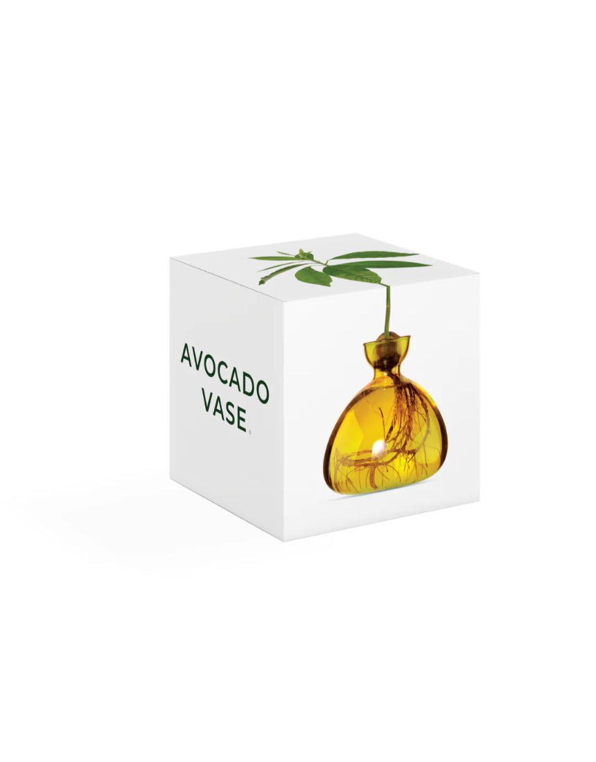 Avocado Vase - Mellow Yellow, , Ilex Studio - Say It Sister