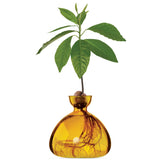 Avocado Vase - Mellow Yellow, , Ilex Studio - Say It Sister