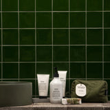 Salus Quintessential Skin Quartet set with four skincare products displayed in sleek bottles and jars.