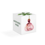 Ilex Studio rose pink avocado-shaped vase with a smooth finish, displayed inside its box on a white background.