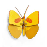 Yellow butterfly wall art by Studio Roof featuring a vibrant butterfly design for wall decor.