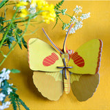 Yellow butterfly wall art by Studio Roof featuring a vibrant butterfly design for wall decor.
