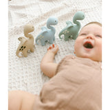Diplo the Dino-Dragon Teether - Sage, , Winnie Parkes - Say It Sister