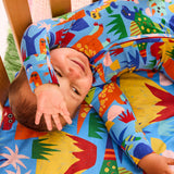 Kip & Co Dinosaur Roar organic long sleeve zip romper for babies, featuring colorful dinosaur print and soft fabric.