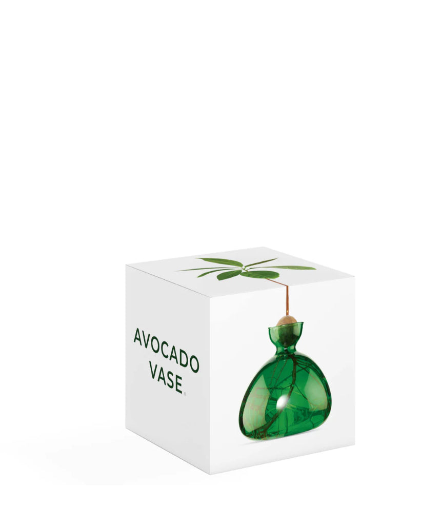 Avocado Vase - Emerald Green, , Ilex Studio - Say It Sister