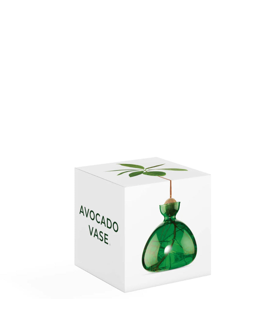 Avocado Vase - Emerald Green, , Ilex Studio - Say It Sister