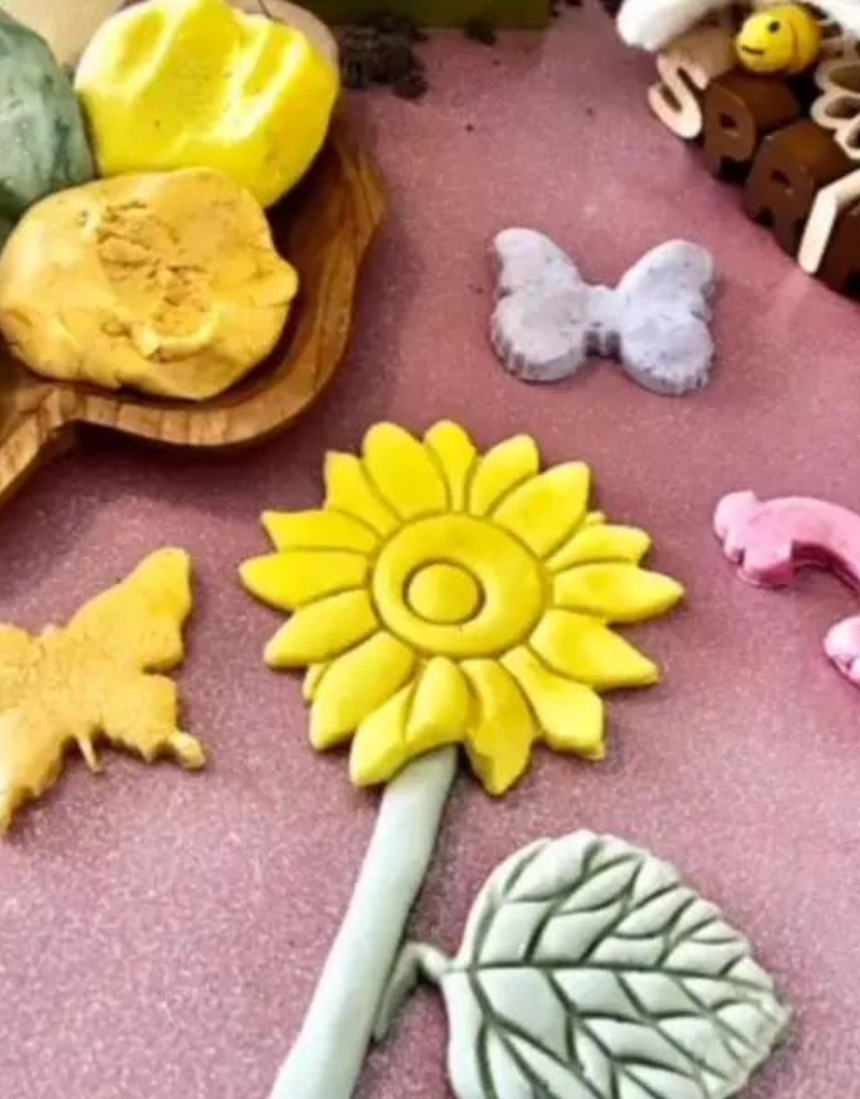 Eco Playdough Kit (GF) - Say It Sister