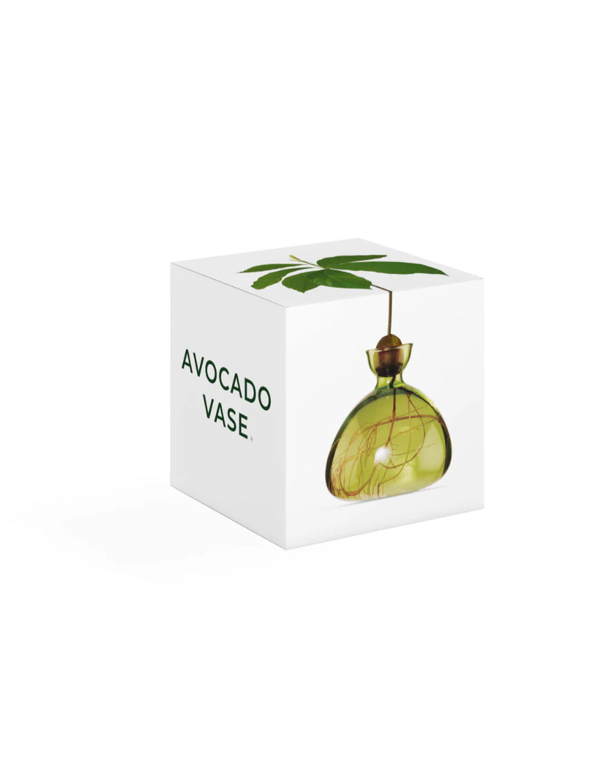 Ilex Studio avocado-shaped vase in grass green with a smooth finish, displayed on a neutral background.