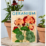 Jones & Co Market Wall Art featuring vibrant geranium floral design on a textured background for home decor.