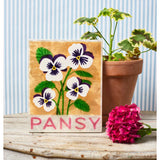 Jones & Co Market Wall Art - Pansy