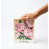 Jones & Co Market Wall Art featuring a detailed peony flower with vibrant pink petals and green foliage.