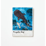 Jones & Co - Snapshot Tile Ningaloo - image 1