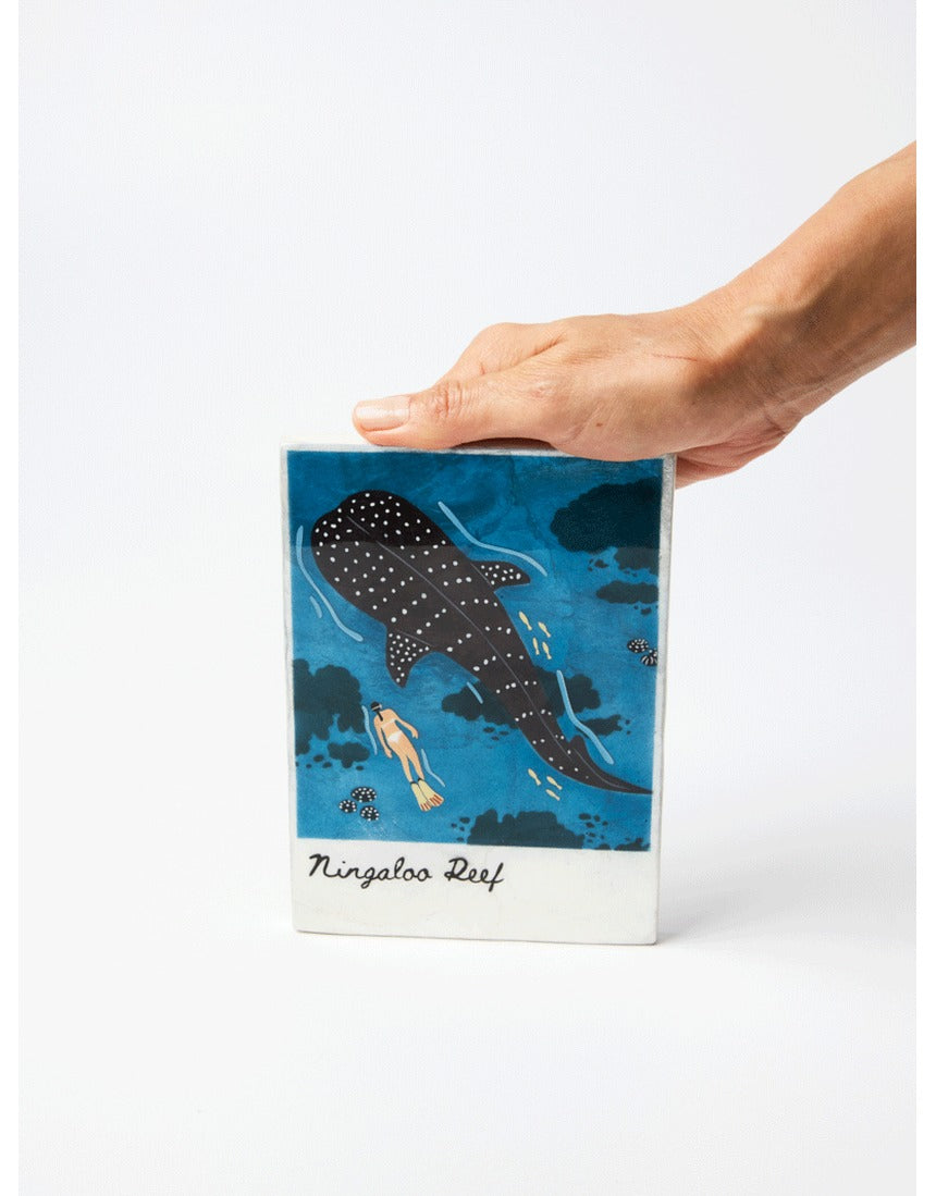 Jones & Co - Snapshot Tile Ningaloo - image 3