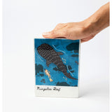 Jones & Co - Snapshot Tile Ningaloo - image 3