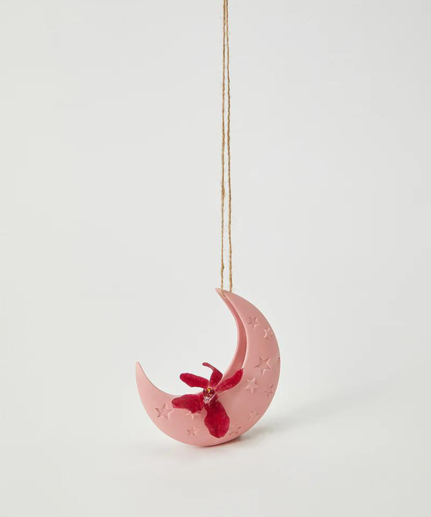 Pink Luna hanging vase by Jones & Co, showcasing its stylish design and smooth surface for decorative use.