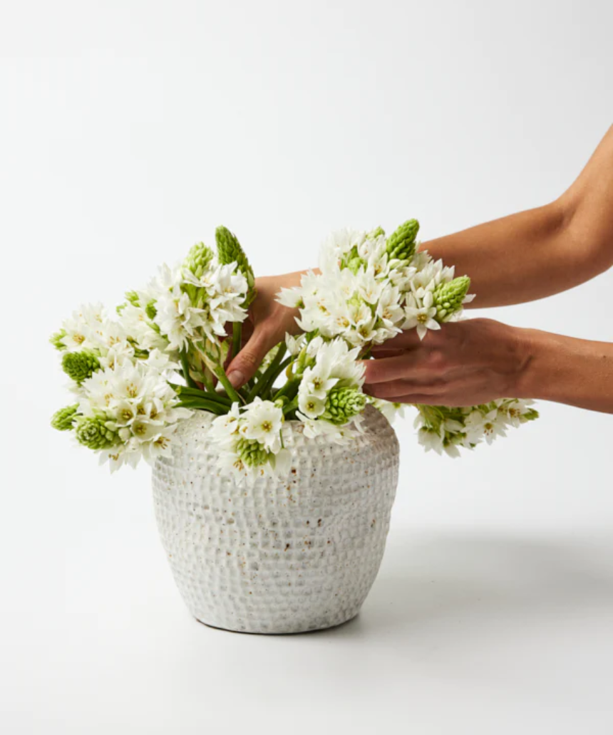 Forma Drop Vase Short, vase, Jones & Co - Say It Sister