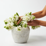 Forma Drop Vase Short, vase, Jones & Co - Say It Sister
