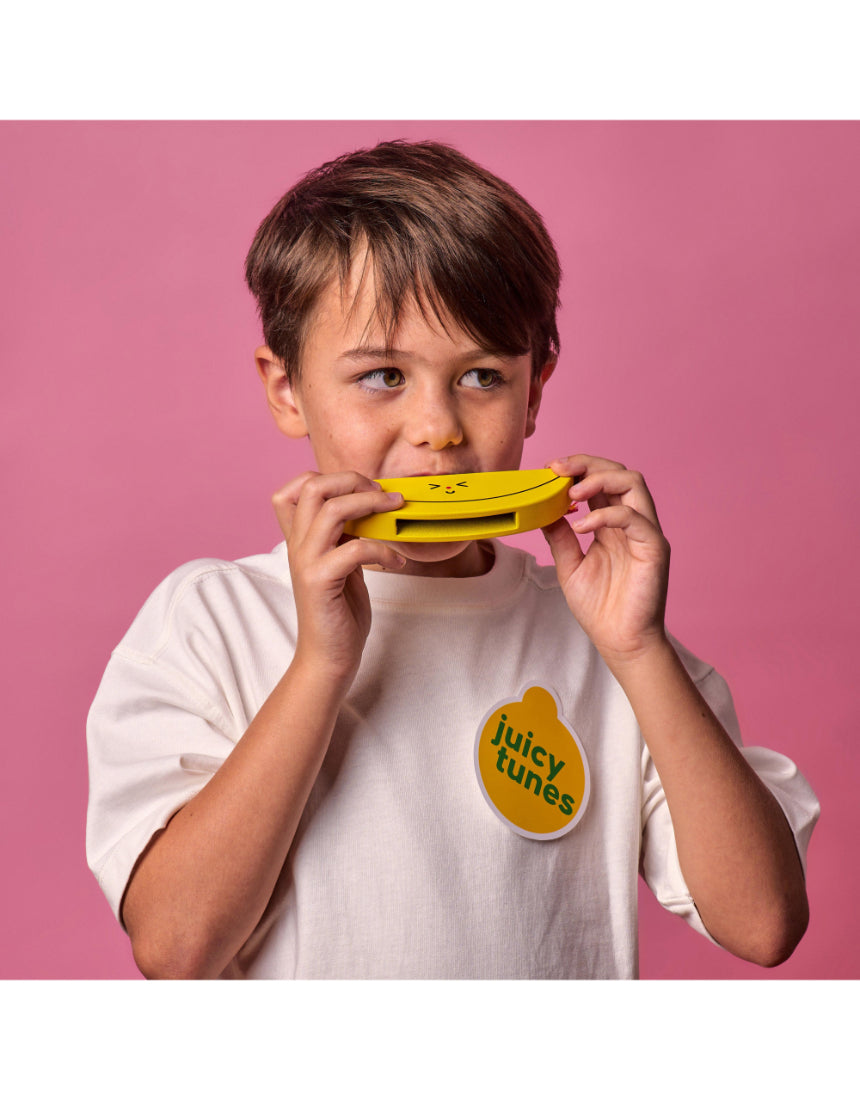Wooden Fruit Harmonica, , isAlbi - Say It Sister