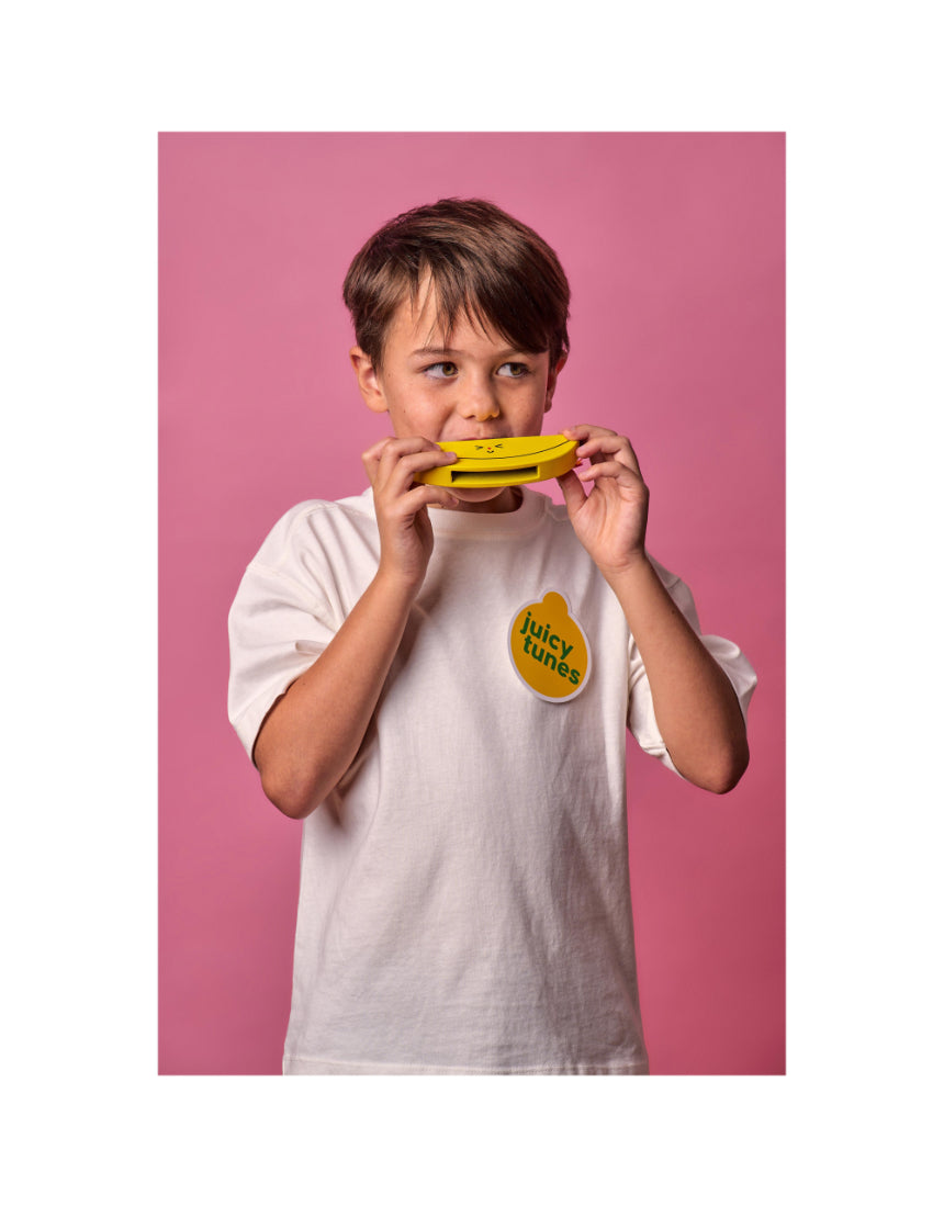 Wooden Fruit Harmonica, , isAlbi - Say It Sister