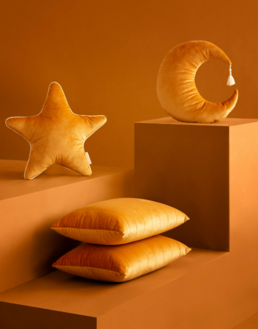 Aristote Star Velvet Cushion 40X40, Cushion, Nobodinoz - Say It Sister