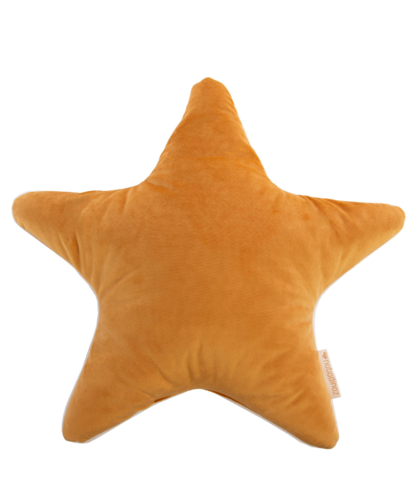 Aristote Star Velvet Cushion 40X40, Cushion, Nobodinoz - Say It Sister