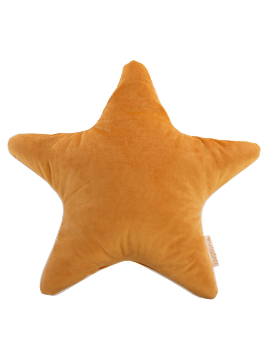 Aristote Star Velvet Cushion 40X40, Cushion, Nobodinoz - Say It Sister