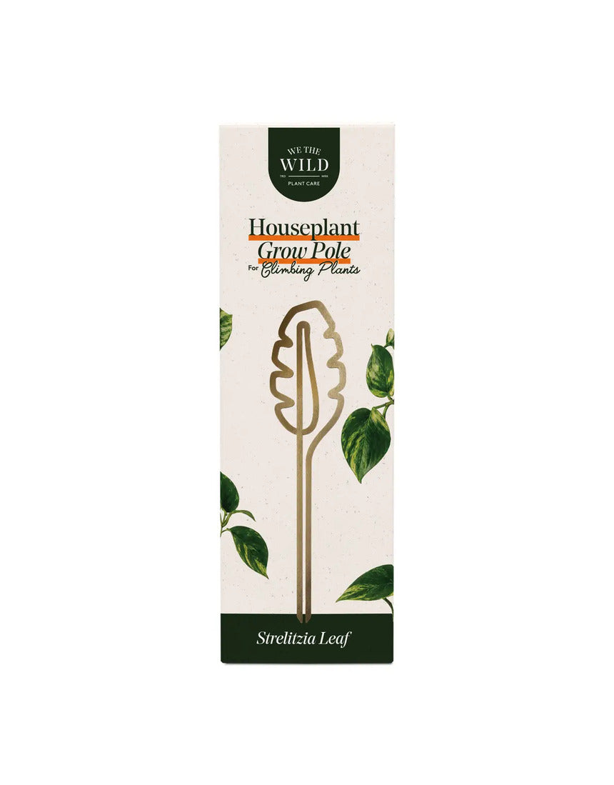 We The Wild - Brass Grow Pole - image 4