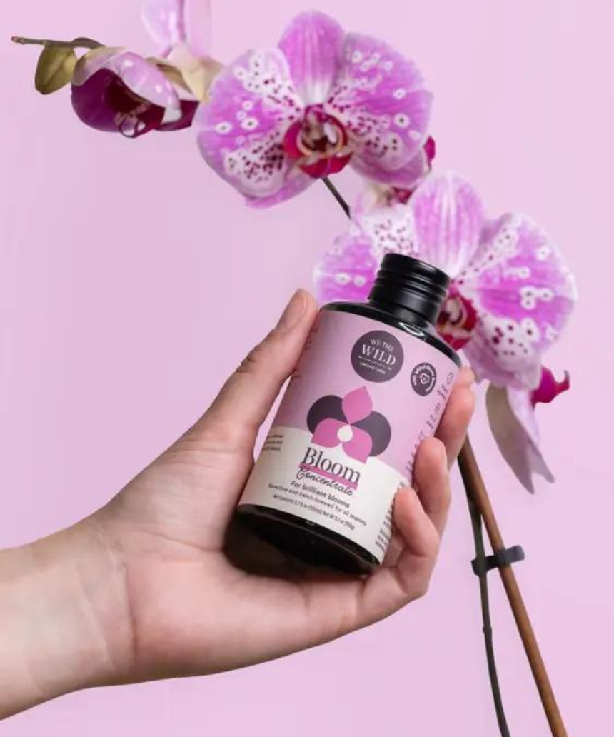 We The Wild Bloom Concentrate plant supplement bottles with fresh green leaves and natural botanical labeling.