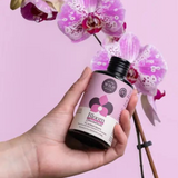 We The Wild Bloom Concentrate plant supplement bottles with fresh green leaves and natural botanical labeling.