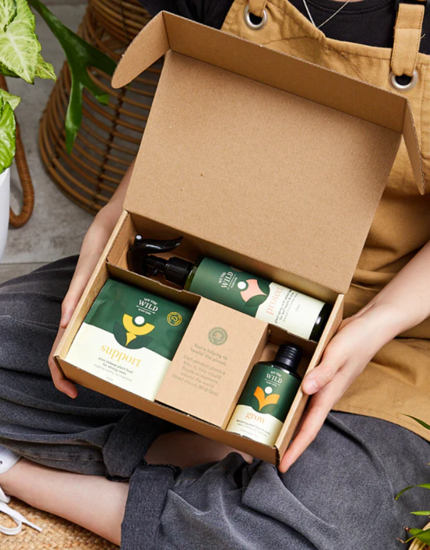 We The Wild Essential Plant Care Kit with various plants and tools for healthy indoor plant maintenance.