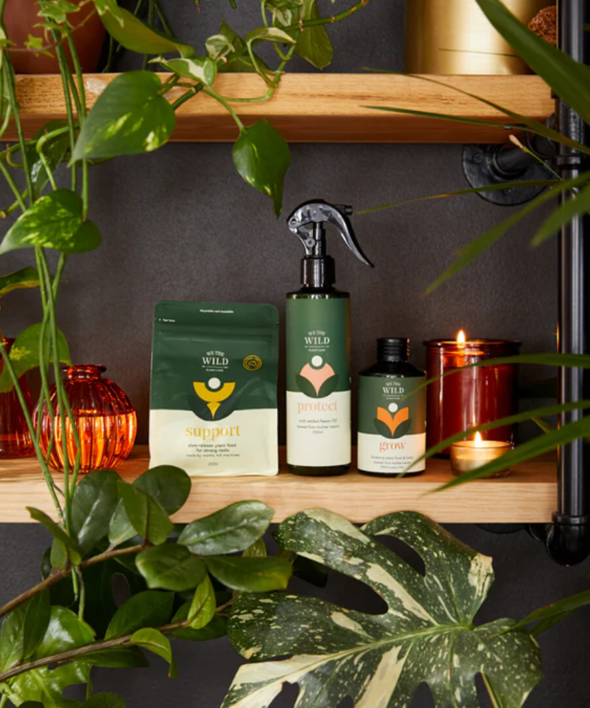 We The Wild Essential Plant Care Kit with healthy green plants, soil, and care tools for indoor plant maintenance.