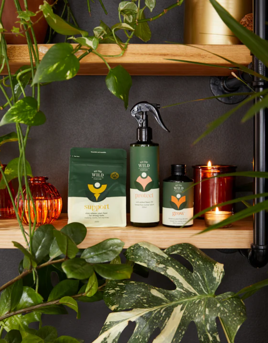 We The Wild Essential Plant Care Kit with healthy green plants, soil, and care tools for indoor plant maintenance.