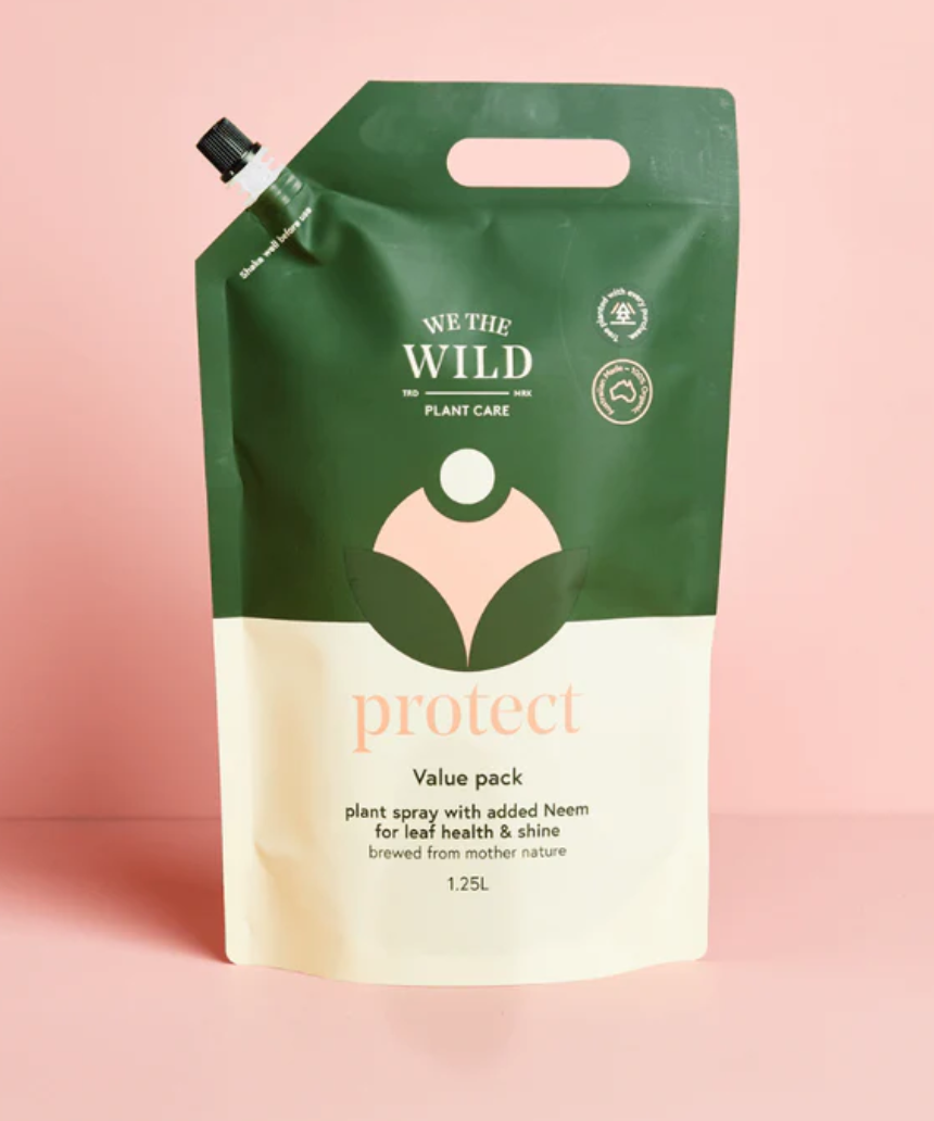 We The Wild Essential Trio plants pack showing three different healthy indoor plants in simple containers.