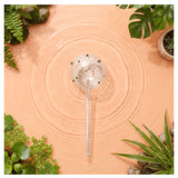 We The Wild - Self-Watering Globe - Green Confetti